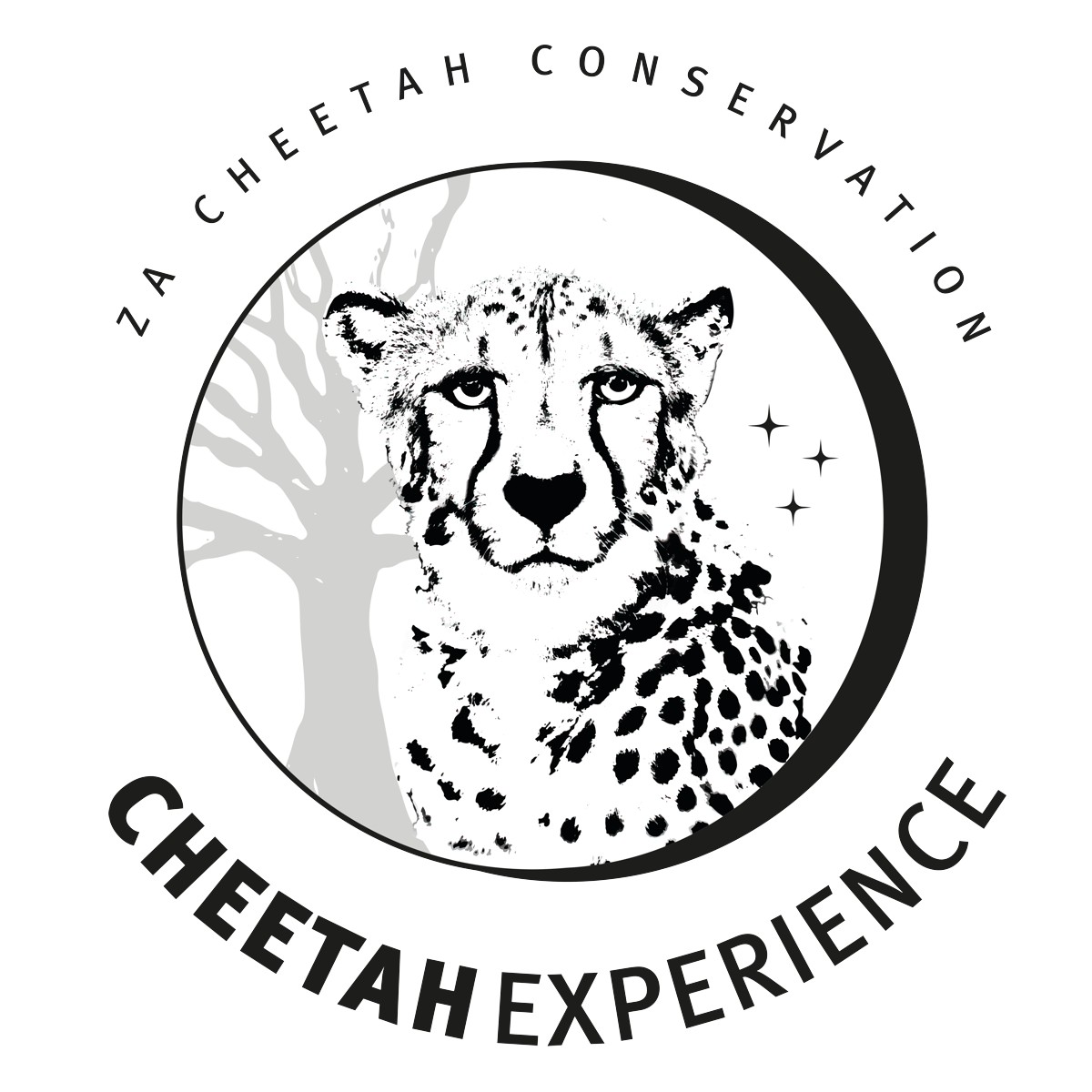 ZA cheetah logo