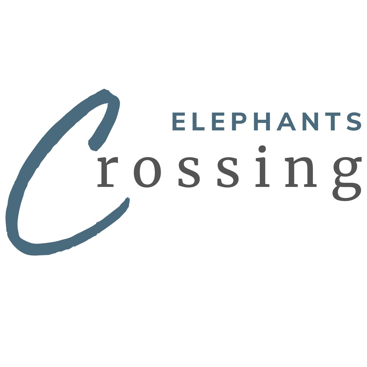 Elephants Crossing jpg